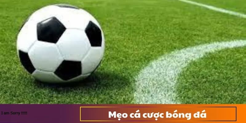 Những bí kíp chơi cá cược bóng đá trực tuyến hiệu quả mà người chơi mới cần biết