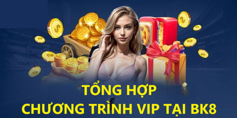 Khám phá những chương trình VIP tại BK8