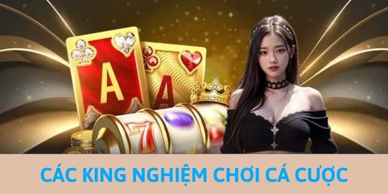 Các kinh nghiệm chơi cá cược đẳng cấp tại BK8