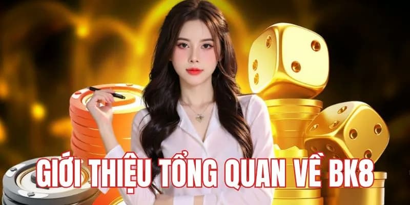 Đôi nét về thương hiệu BK8