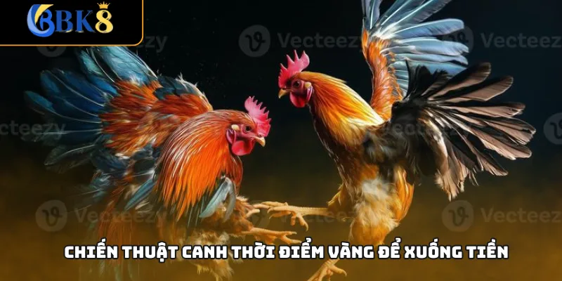 Chiến thuật canh thời điểm vàng để xuống tiền