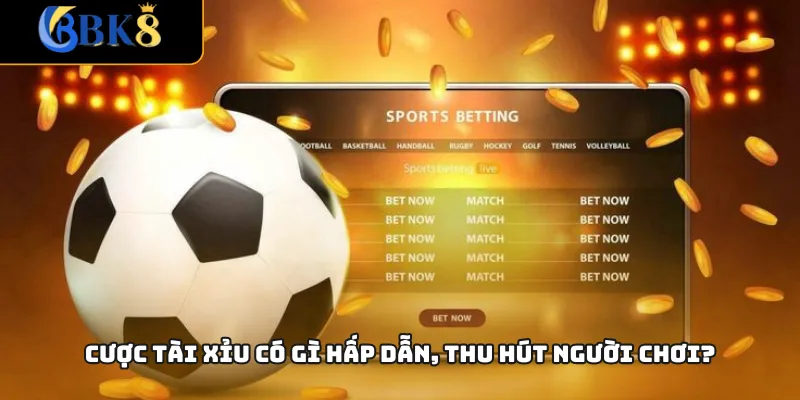 Cược tài xỉu có gì hấp dẫn, thu hút người chơi?