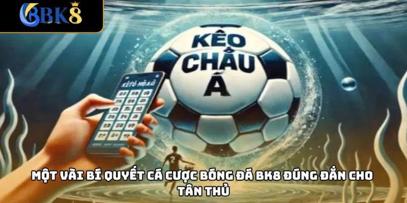 Một vài bí quyết cá cược bóng đá BK8 đúng đắn cho tân thủ