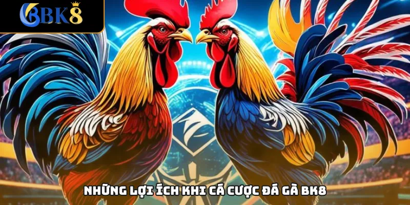 Những lợi ích khi cá cược đá gà BK8