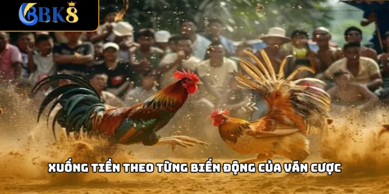 Xuống tiền theo từng biến động của ván cược