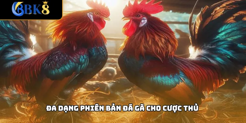 Đa dạng phiên bản đá gà cho cược thủ
