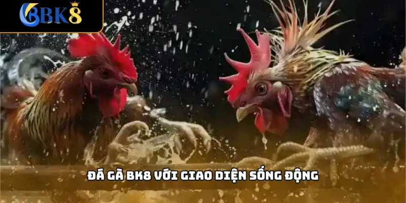 Đá gà BK8 với giao diện sống động