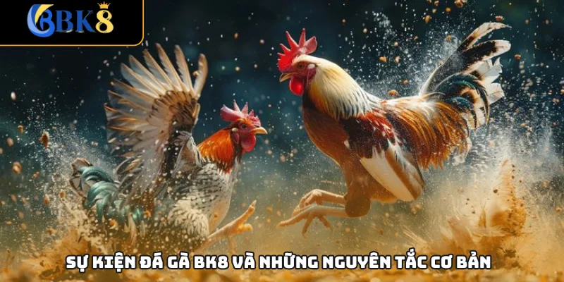 Sự kiện đá gà BK8 và những nguyên tắc cơ bản
